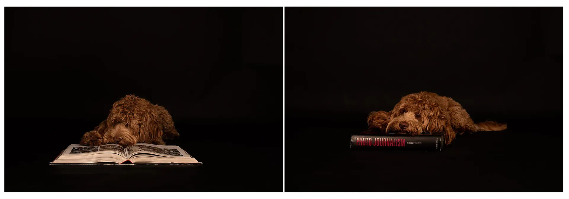 ...